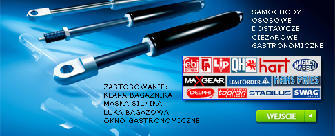 siłowniki gazowe do samochodów osobowych i dostawczych